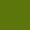 Gloss Fern